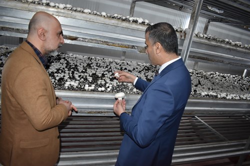 Kaymakam Duman MEMBA Tarım Ürünleri Şirketini Ziyaret Etti